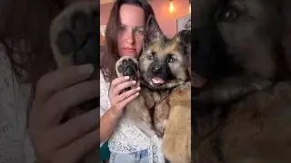 Встречаем нового пушистика 🤩
