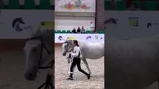 слово «рысак» в России появилось благодаря графу Орлову 