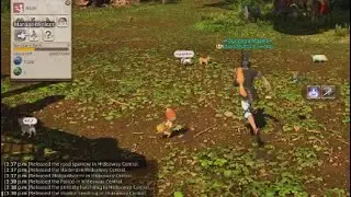 Releasing Minions on my Island Sanctuary - Final Fantasy 14