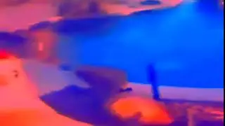 птичка долбит камеру своим клювом