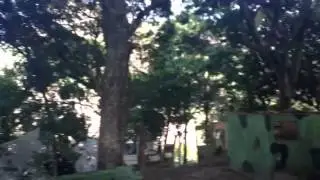 Dia de alegria do lapamaki