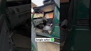 Viral jungle safari #camping