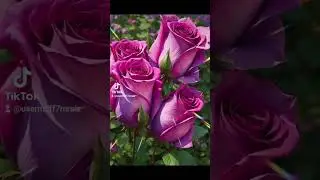 #доброеутро #самойкрасивойженщинеземли