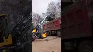 @канал в мире животных@