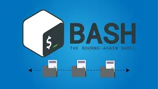 Website directory discovery script | Bash Scripting Tutorial
