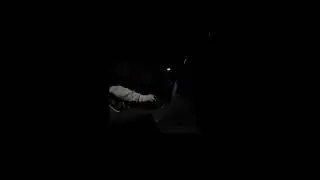 4.6L V8 ASMR