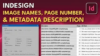 InDesign Alt Text Links Report
