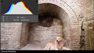 Photoshop: Soluciones para tus fotografías con Camera Raw - El histograma