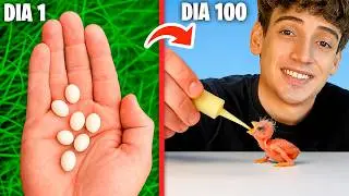 🐣I Rescued 100 Mystery Eggs and They Hatched🐣