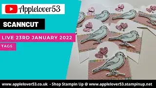 Live 23rd January 2022 - Making Tags With Scan To Direct Cut & Stamped Images