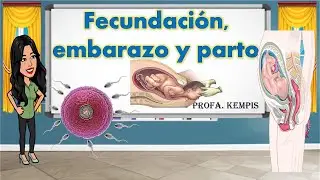 Fertilization, pregnancy and childbirth