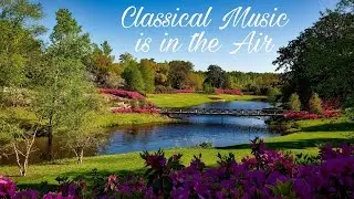 Classical Music is in the Air ❤