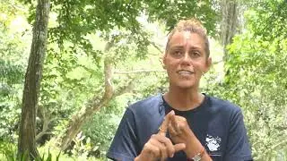 Conservation Efforts at Ekolo ya Bonobo Reserve