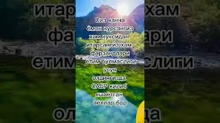 #rek#uzb #jannatga #oshiqlar #obuna #bolin хулоса узиздан достларим сог болилар