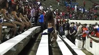 2018 Prancing J-Settes (No Boyfriends Allowed) AAMU Game