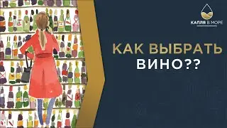 Выбор вина в магазине, на что смотреть, на что не смотреть