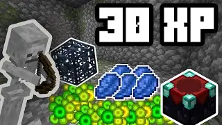 EXPERIENCE farm on spawner
