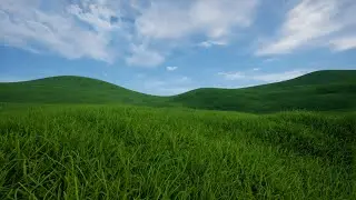 nanite foliage | grass | Unreal Engine 5