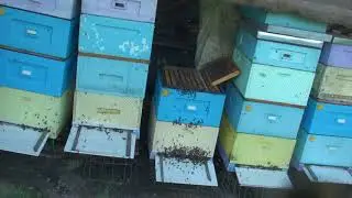 Визит на дальнюю пасеку в мае 2018 г.