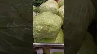 Big Cabbage in Abudhabi #shorts #trending #viral #youtubeshorts #vegetables
