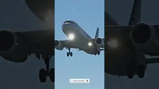 CRAZY Plane Spotting in ST. MAARTEN! #aviation #planespotting #msfs2020 #airbus #landing #fs2020