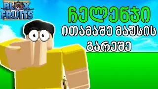 BloxFruit მაგრამ, ყველა 10 წუთში უნდა შევასრულო 1 ჩელენჯი! (Roblox BloxFruit)