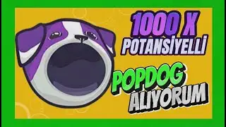 1000X POTANSİYELLİ POPDOG ALIYORUM #solana #solanameme #popcat #popdog