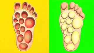 Pop Us! Most Satisfying and Relaxing Video