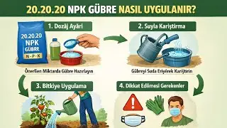 Cevizlere üç yirmi kompoze gübre uygulaması