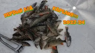 Первый лёд Карелия 2023-2024!!!. Рыбалка на окуня. Установка жерлиц  на щуку. Отличная рыбалка.