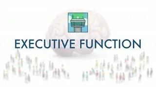 Executive Function