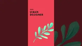 UI & UX Designer