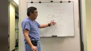 Anterior communicating artery ACom vs Posterior communicating artery PCom