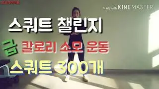 3일차)급 칼로리 소모 운동 다이어트 스쿼트 챌린지 Squat Challenge
