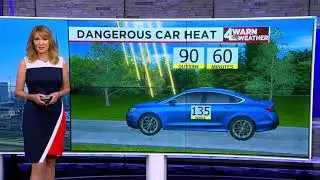 Hot Car Danger