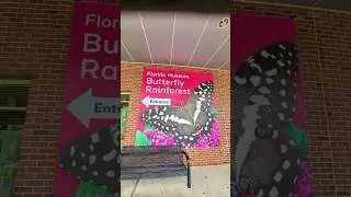 5 Tips When Visiting the Butterfly Rainforest at University of Florida 🦋