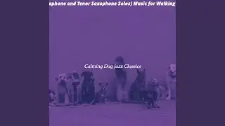 Uplifting Tenor Saxophone Solo - Vibe for Sleeping Dogs