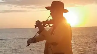 Perfect - Ed Sheeran ( violin cover ) / Грачик Аванесян
