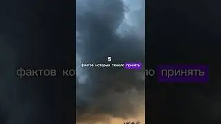 Факты которые тяжело принять 🤯 #люди #мысли #цитаты #саморазвитие #мотивациянауспех #психология