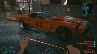 It thinks its a bird