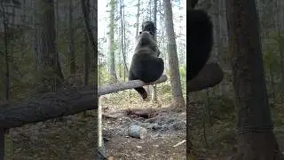 Думали не достану? А вот вам. 