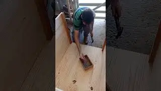fazendo casinha de cachorro #woodworking #wood #marceneiro #diy