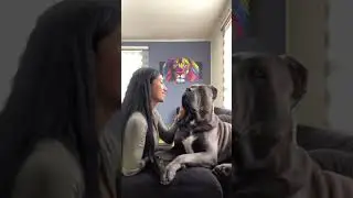 True Love 💕 