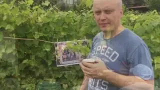 BAiKA w Winnicy Na Kawałku Ziemi