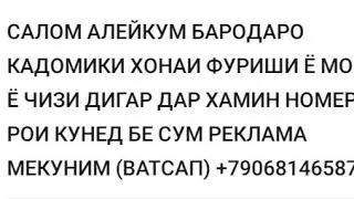 Шон мс Хамун Насиба соз бд (2022)