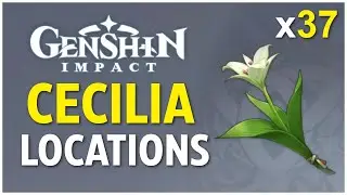 ALL 37 Cecilia Locations - Genshin Impact