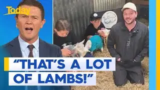 Sheep gives birth to rare sextuplet lambs | Today Show Australia