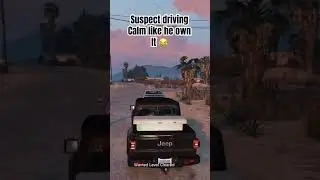 When cruising in a stolen car goes wrong 😂 
