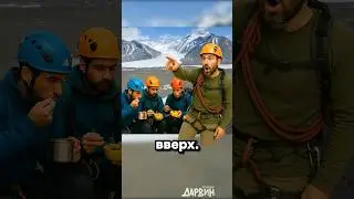 Горное дерево