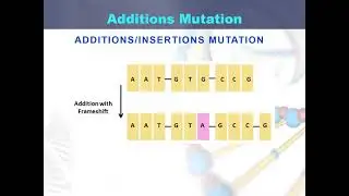 Additions mutation